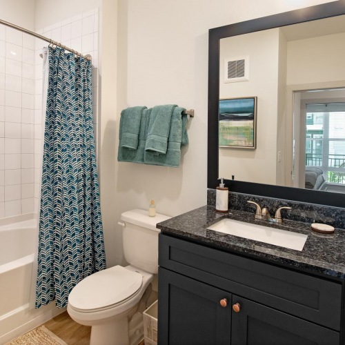 Bathroom options with thoughtful details a bathroom with a tub sink and a toilet